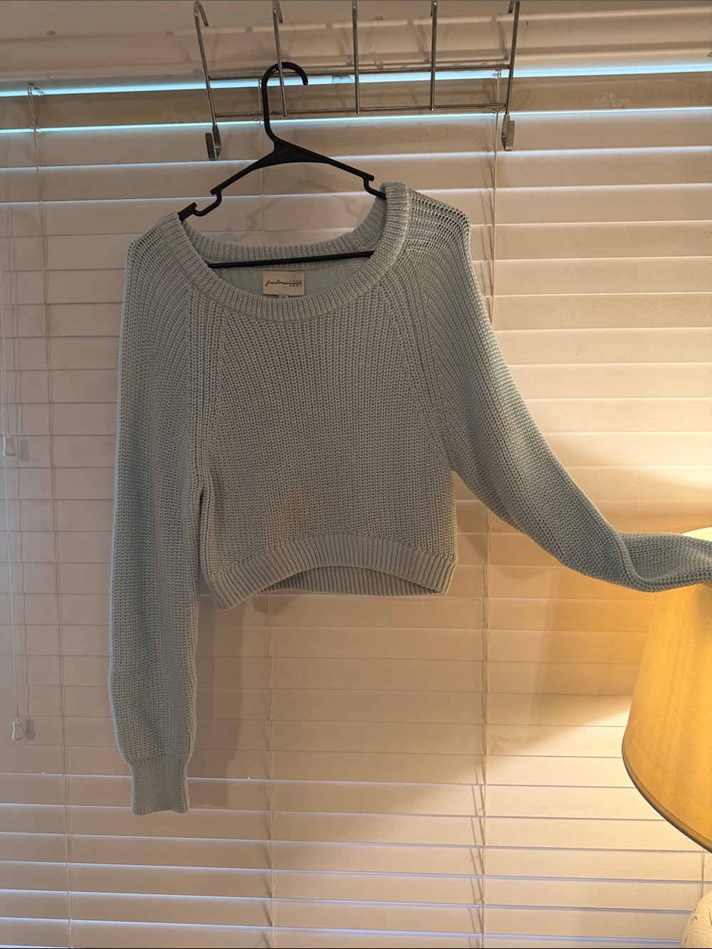Freshman Mint Blue Cropped Crewneck Sweater